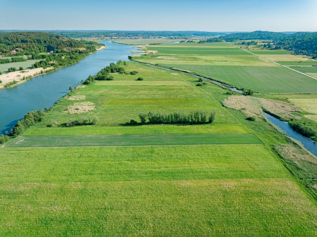 未来の地球を守る一歩を、森から始めよう