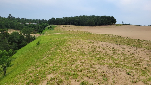森林を未来へ繋ぐ力を、共に。― プロジェクト支援のお願い ―