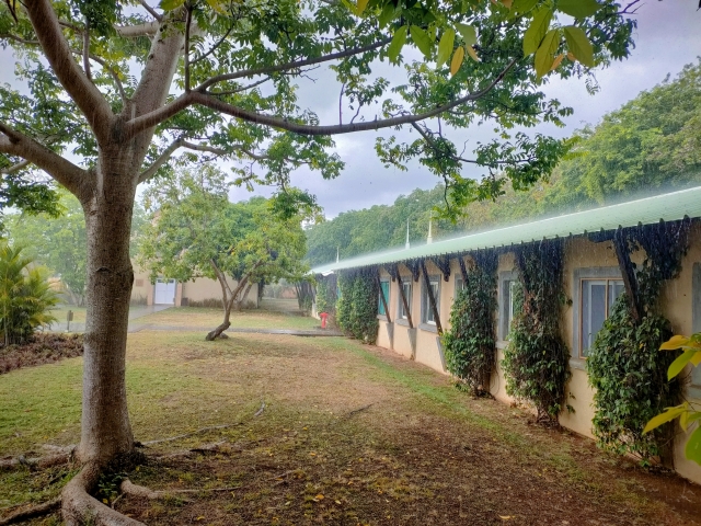 「Global Hands」が大切にしていること